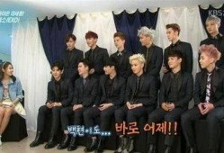 exo成员趣事爆料最新,揭秘偶像背后的搞笑瞬间